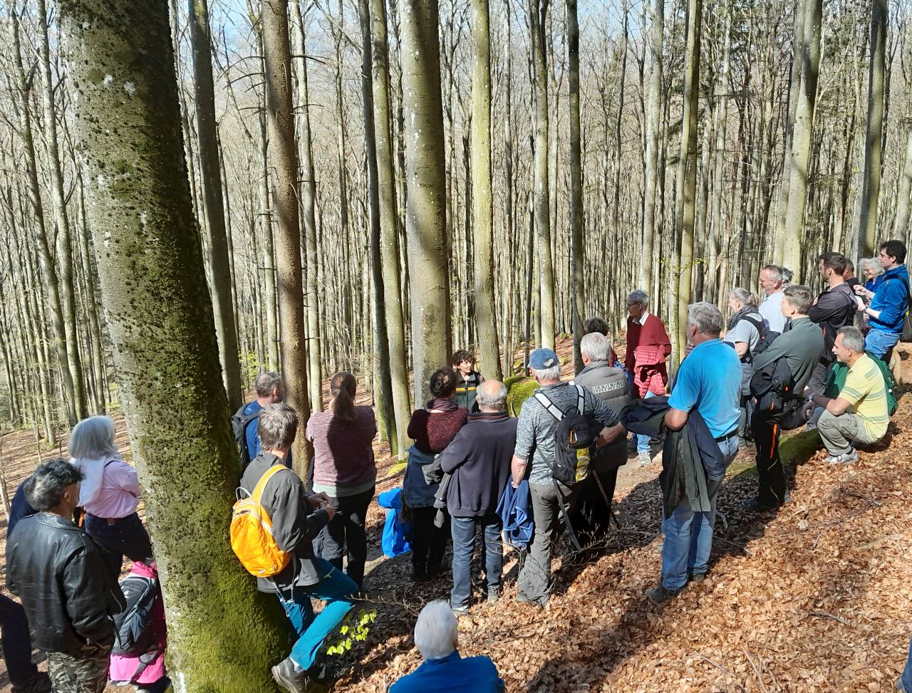 Waldbegehung mit Stadtförsterin Swantje Schaubhut